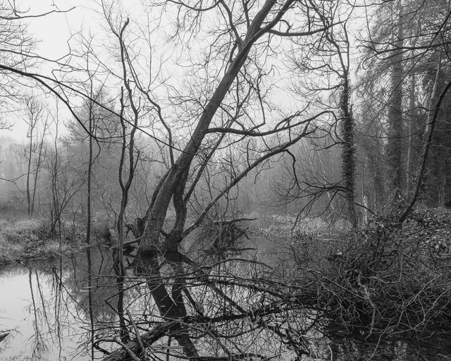 Blackwater